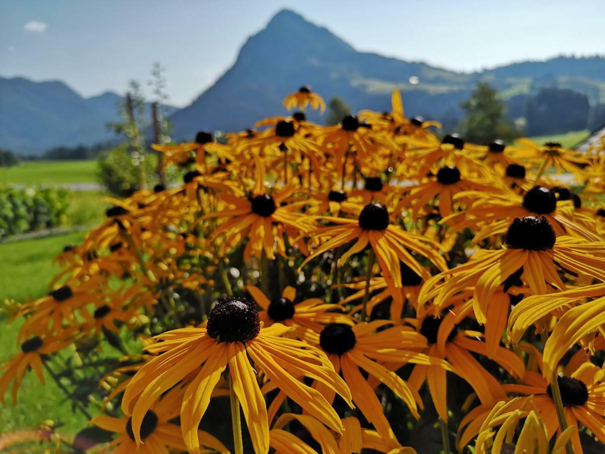 Haus Edelgruen Lägenhet Tauplitz Exteriör bild
